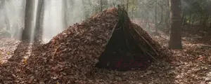 Bushcraft & survival