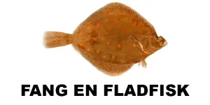 Fang en fladfisk