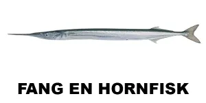 Fang en hornfisk