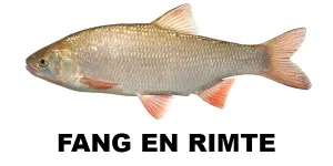 Fang en Rimte