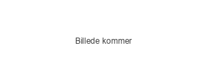 Tilbehør