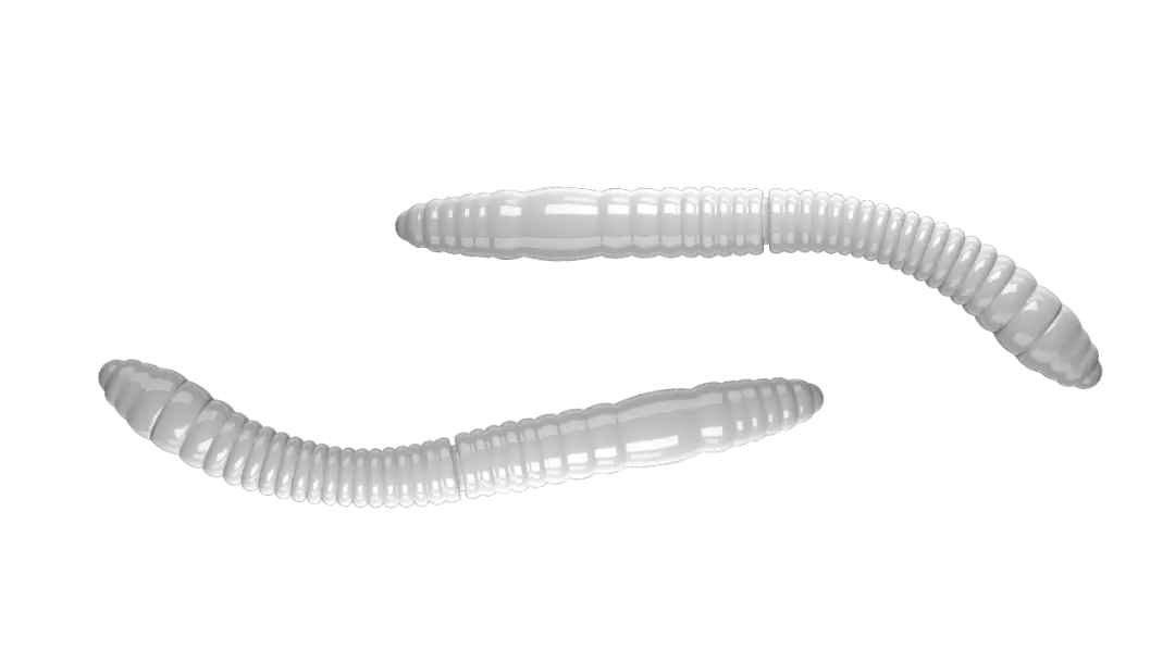 Libra Lures Fatty D Worm Tournament 55 Cheese White - Put & Take