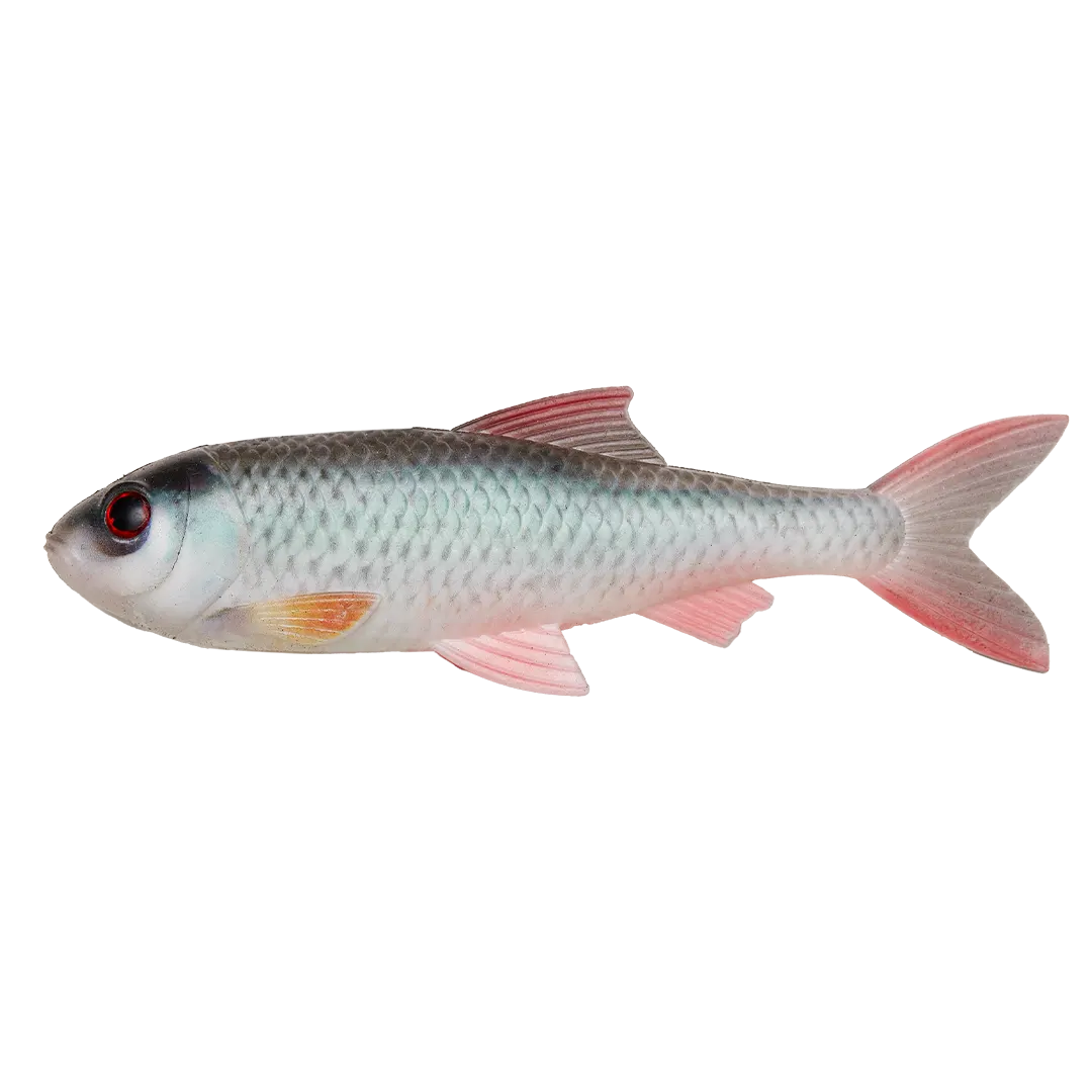 PulzBait Starter Kit 20cm Roach / Skalle Roach - Elektriske Agn