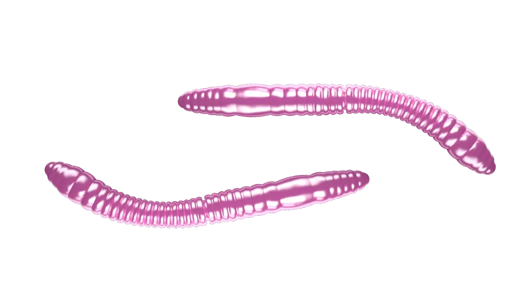 Libra Lures Fatty D Worm Tournament 55 Cheese Pink Pearl - Put & Take
