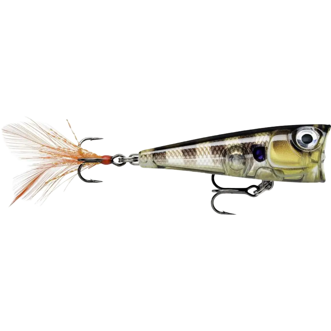 Rapala X-Light Pop 4,5 Gram GGIU - Popper