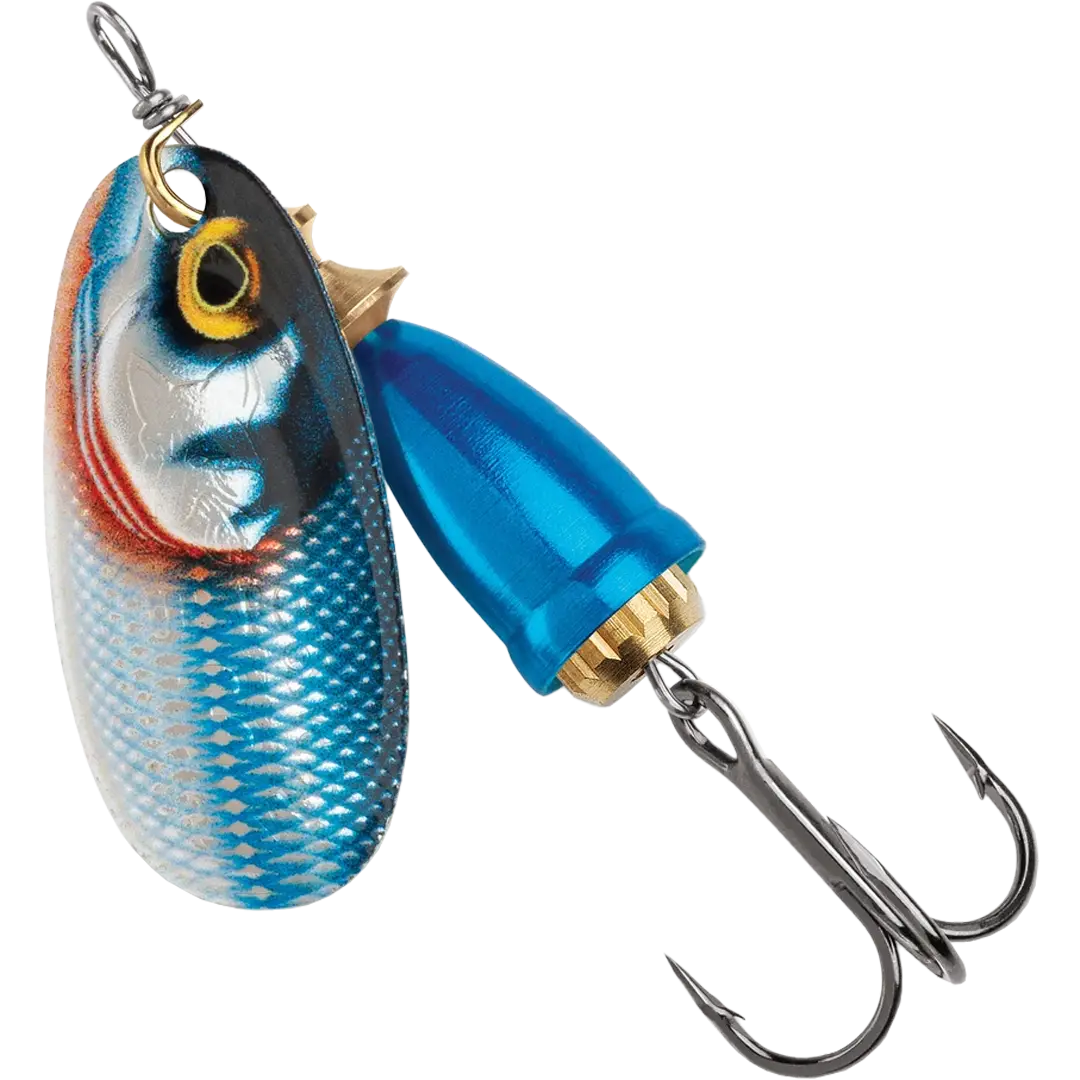 Blue Fox Gilded Classic Vibrax Spinner St. 1 4gram GDBST - Spinner