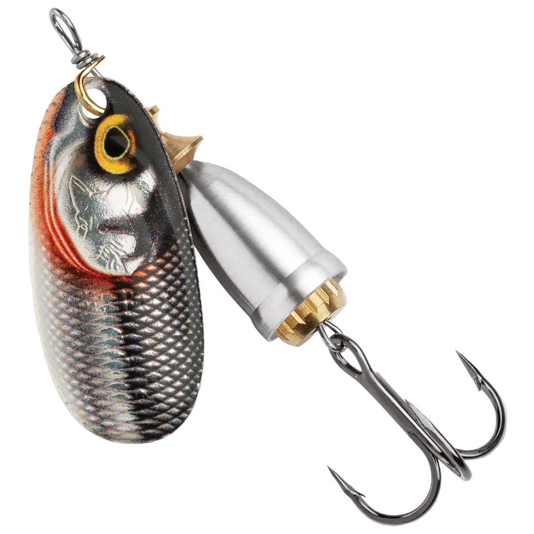 Blue Fox Gilded Classic Vibrax Spinner St. 1 4gram GDS - Spinner