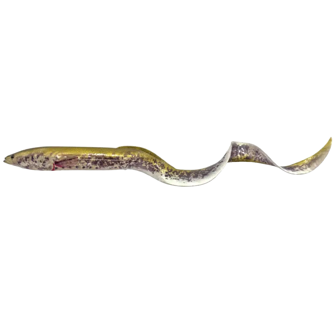 Savage Gear Real Eel 30cm Green Lamprey - Gedde