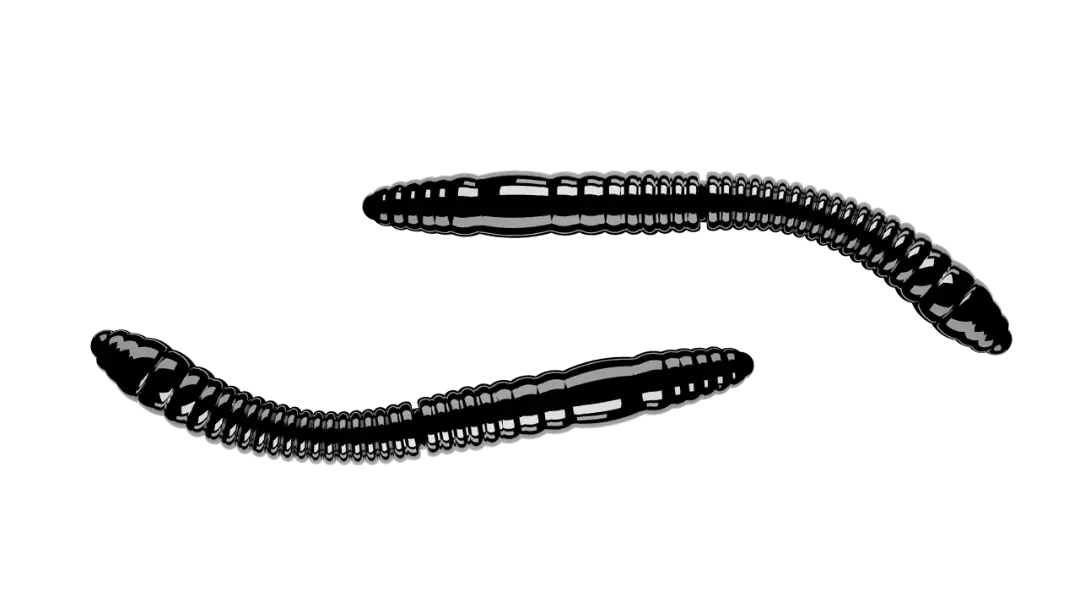 Libra Lures Fatty D Worm Tournament 55 Cheese Black - Put & Take