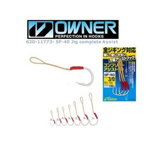 Owner Complete Assist