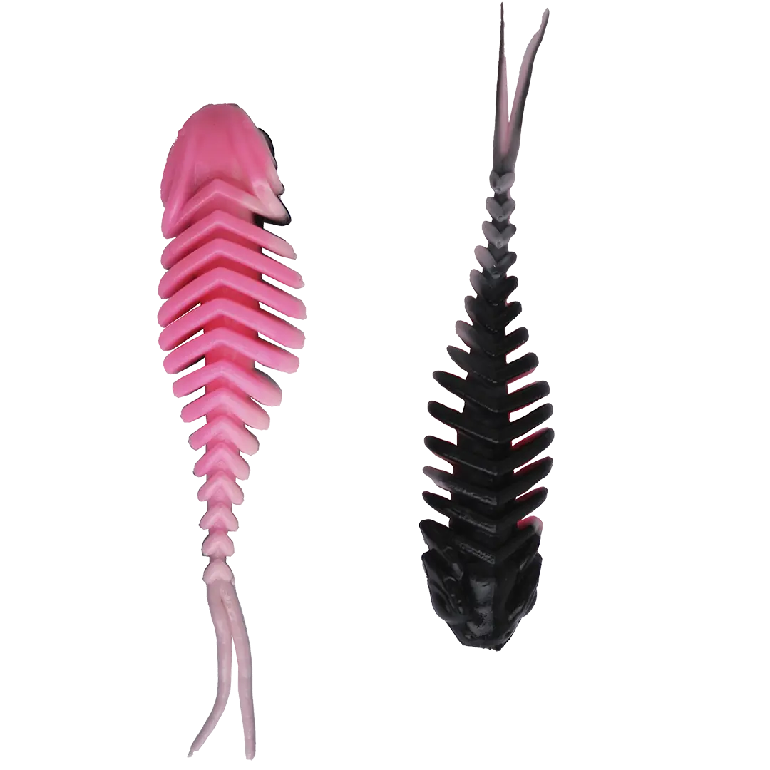Ultimate Trout T-Rex Black - White - Pink Fluo - Put & Take