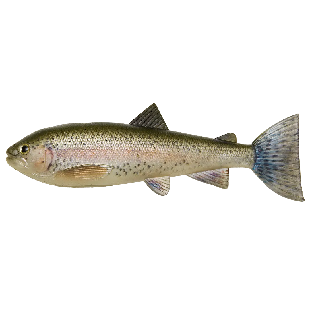 PulzBait Skinz 15cm Trout / Ørred Rainbow Trout - Elektriske Agn