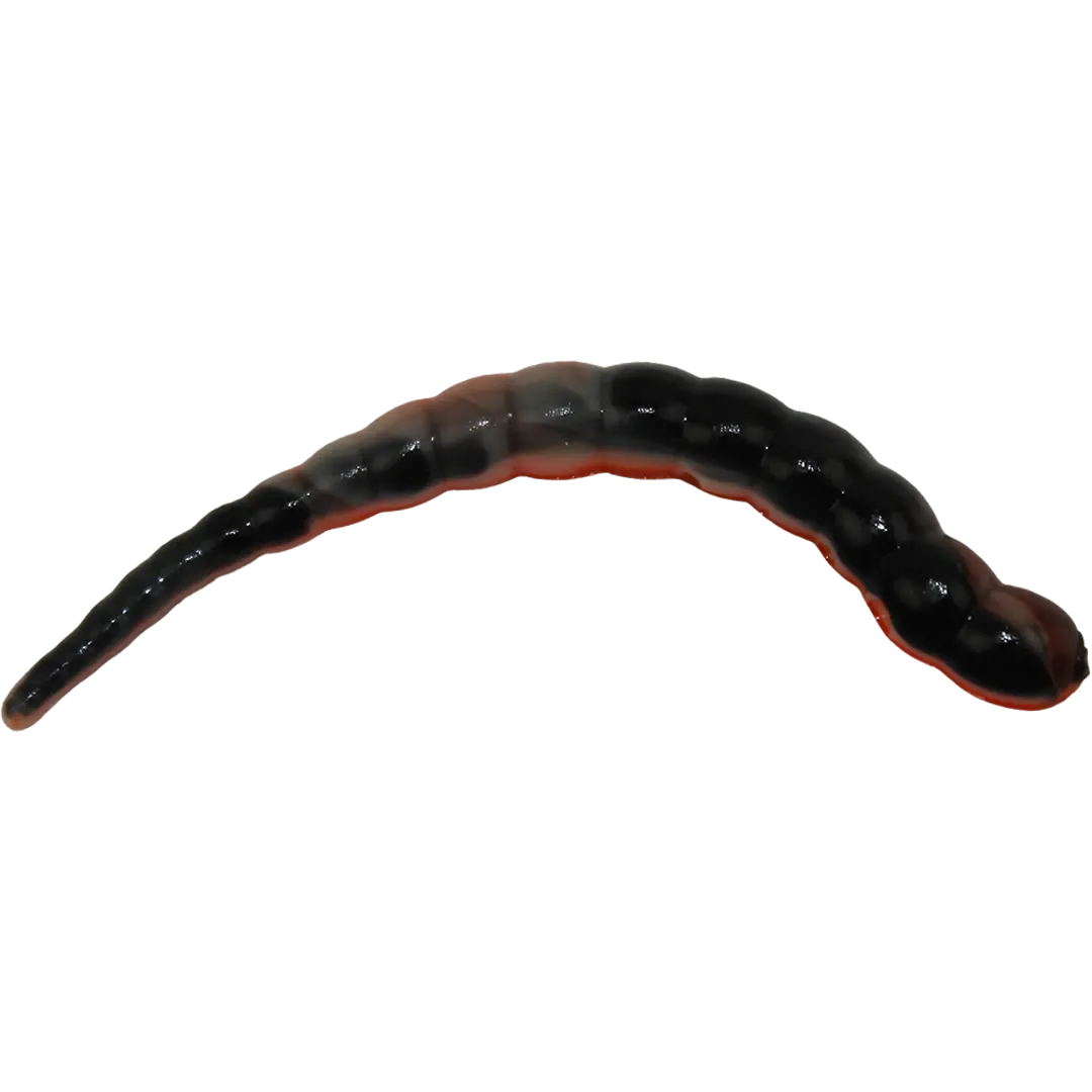 Ultimate Trout Cobra Garlic Turbo - Put & Take