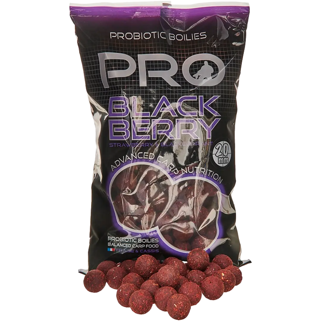 Starbait Pro-Biotic Boilies Blackberry 20mm - Boilie