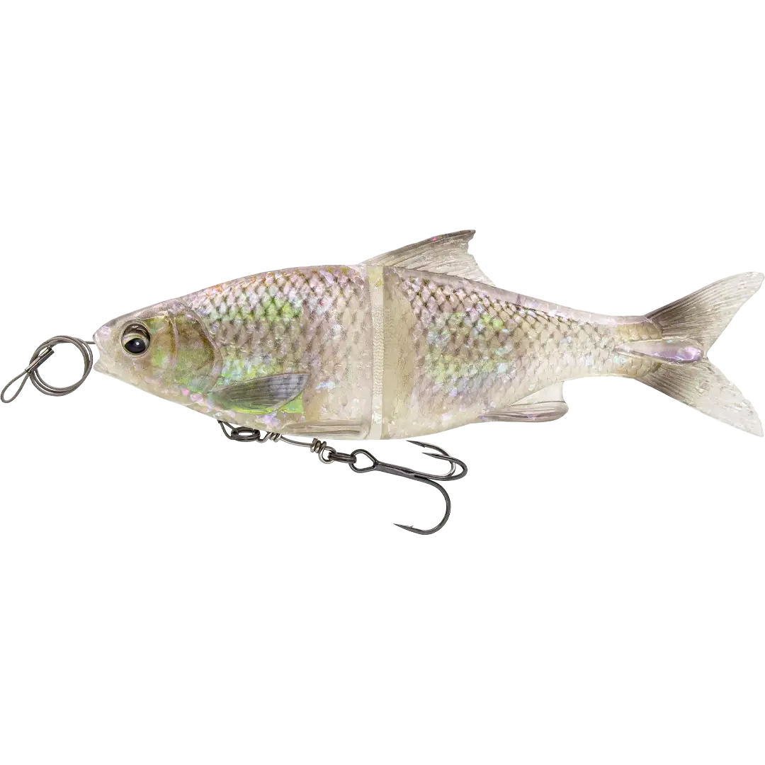 Savage Gear 3D Line Thru Glide Roach 23cm Ghost Roach - Gedde