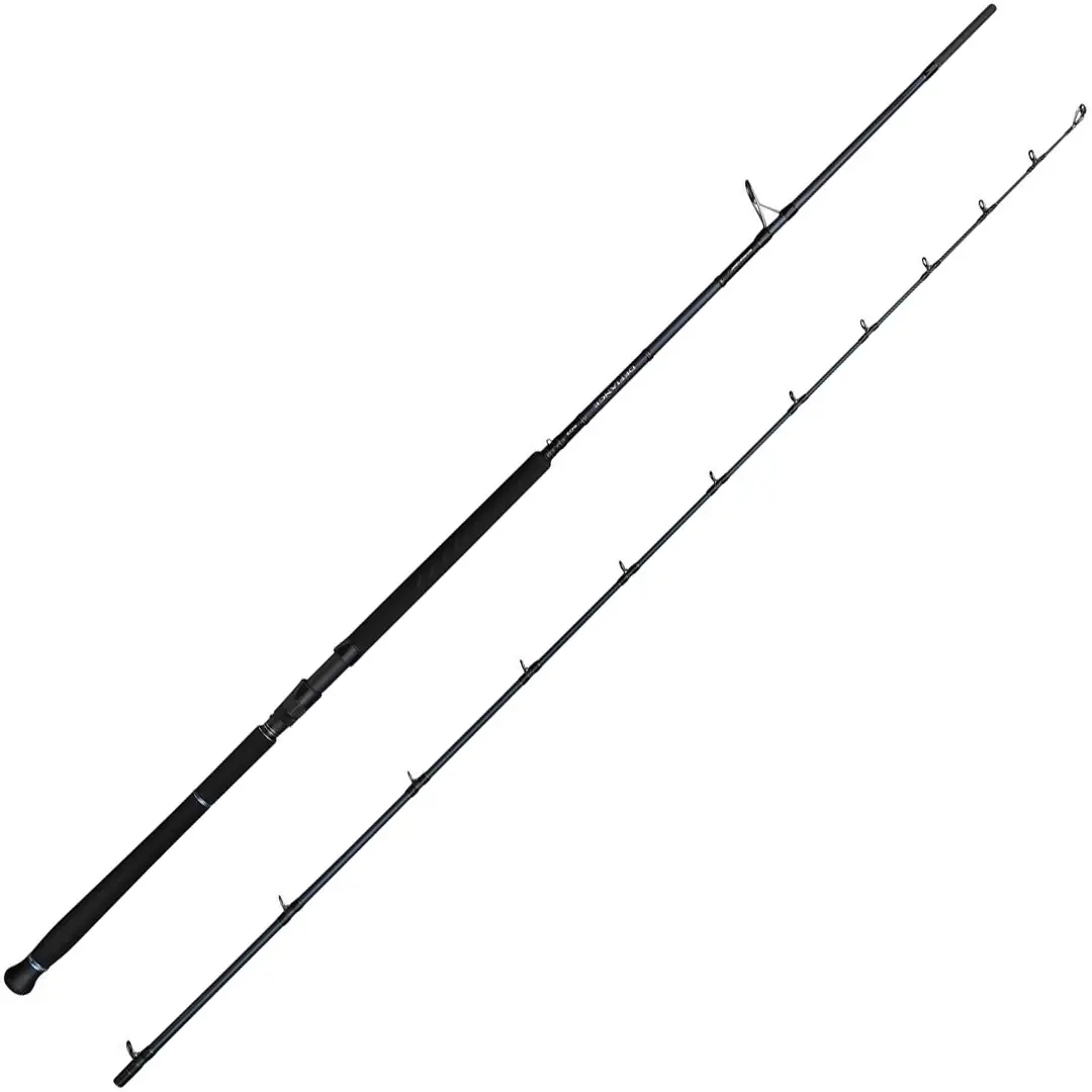 Savage Gear Defiance SG2 Shore Jigging 9,6 Fod 50-120g - Mole/Kastestænger