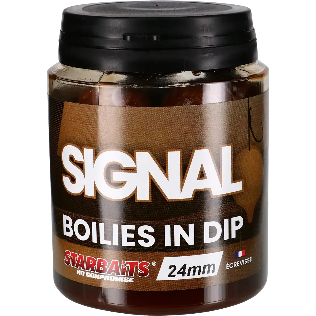 Starbaits Performance Concept Boilies In Dip 24mm Signal - Boilie