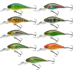 Daiwa Prorex Baby Crank MR