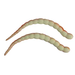 Ultimate Trout Cobra