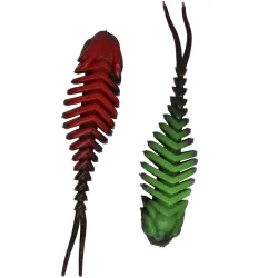 Ultimate Trout T-Rex