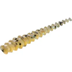 13 Fishing Squidworm