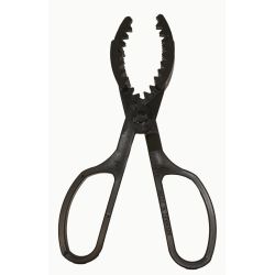 Danica le/Fjsingstang