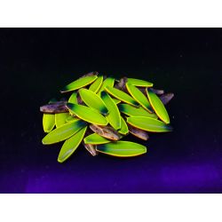 WESTIN D360 6GRAM 40MM SPECIAL FARVER