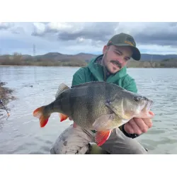 Aborre i Spanien 7-14 marts 2026