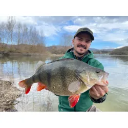 Aborre i Spanien 7-14 marts 2026