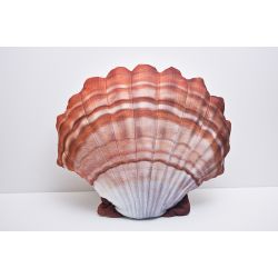 Gaby Stor Kammusling - tjdyr