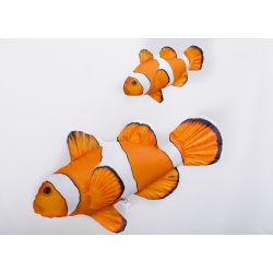 Gaby Klovnfisk - tjdyr