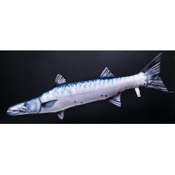 Gaby Stor Barracuda - tjdyr
