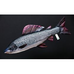 Gaby Stalling - tjdyr