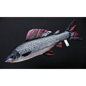 Gaby Stalling - tjdyr