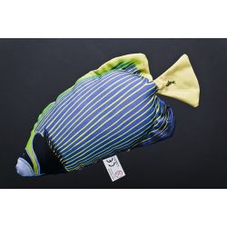 Gaby gte Kejserfisk - tjdyr