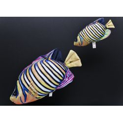 Gaby Pfuglekejserfisk - tjdyr