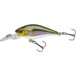 Daiwa Prorex Baby Crank MR