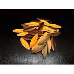 WESTIN D360 6GRAM 40MM SPECIAL FARVER