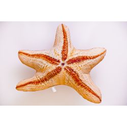 Gaby Sstjerne - tjdyr