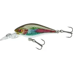 Daiwa Prorex Baby Crank MR