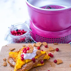 Trangia 25-1 Stormkkken 100 rs Jubilums Version