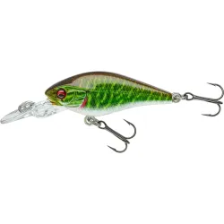 Daiwa Prorex Baby Crank MR