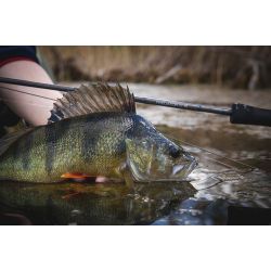 Vision Merisuola Predator Graphene