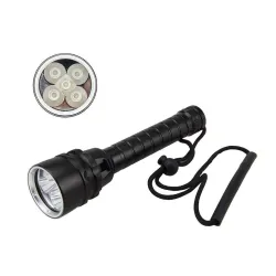 Astro XPE UV 5000LM 30W Ravlygte