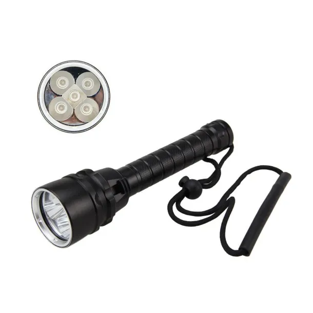 Astro XPE UV 5000LM 30W Ravlygte
