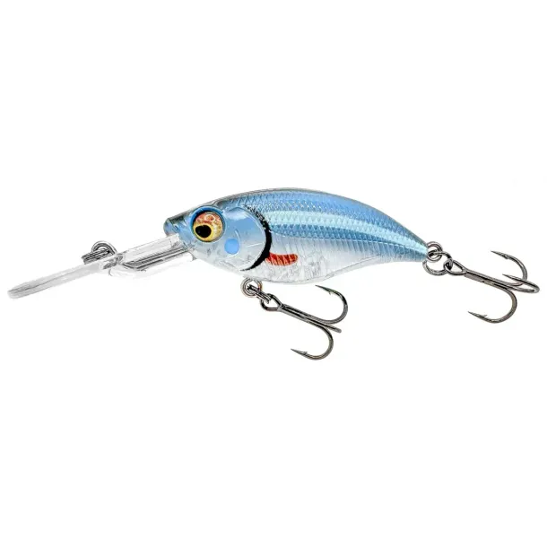 Westin Buzzbite Limited Edition