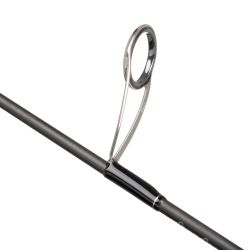 ABU Garcia Carabus Cassiopeia