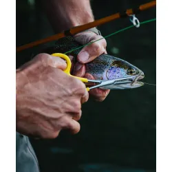 Loon Classic Forceps 