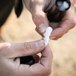 Coghlans Flint Wheel