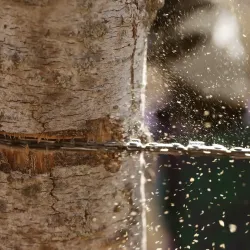 Coghlans Pocket Chainsaw